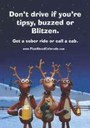 Blitzen Homepage thumbnail image