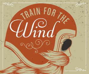 Train for the Wind (gif) detail image