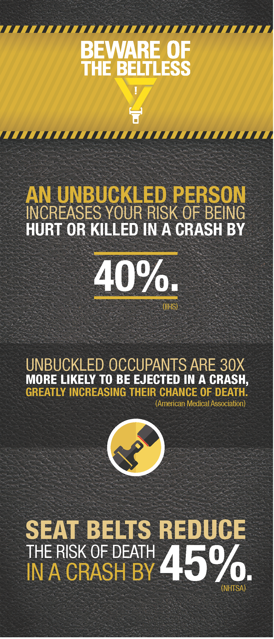 seat belt stats card detail image