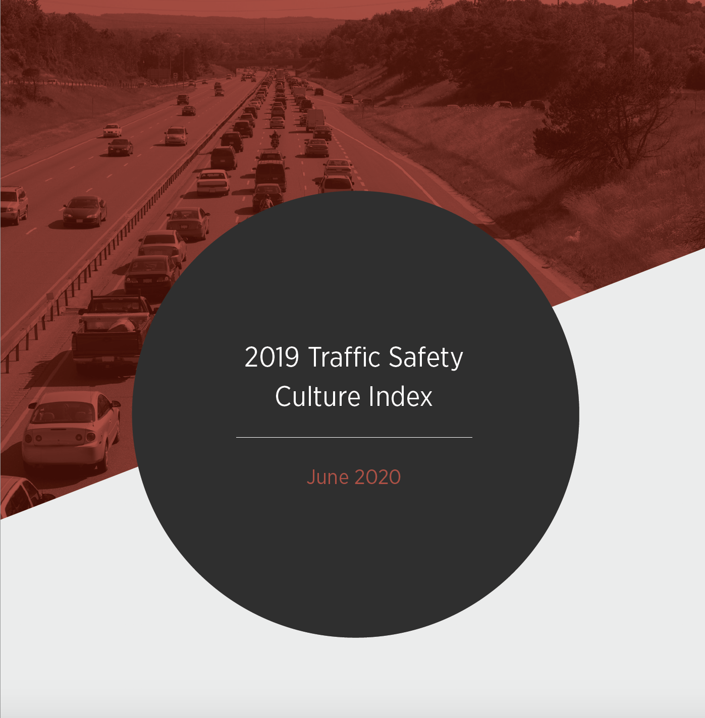 Traffic Safety Culture Index 1.png detail image