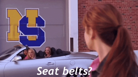 Seat belts are so fetch detail image