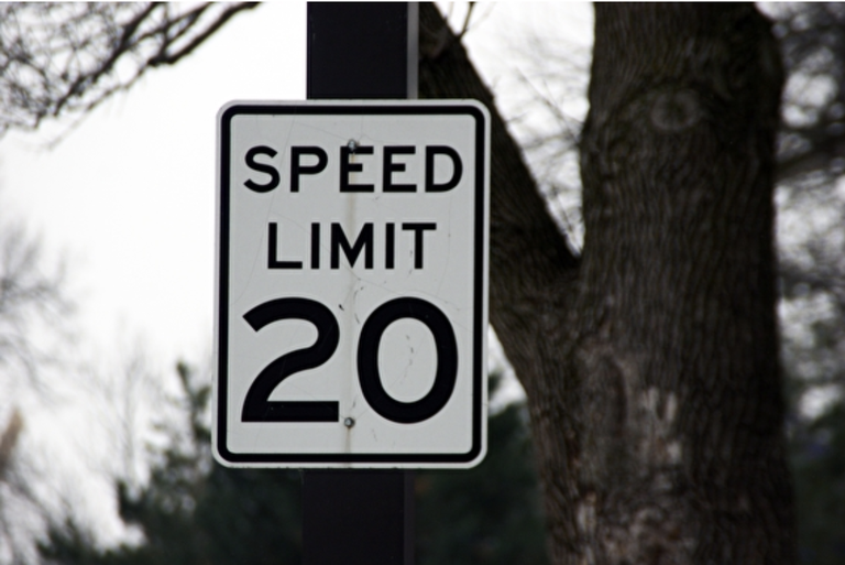 A speed limit sign indicting a 20 mph speed limit in front of a tree.