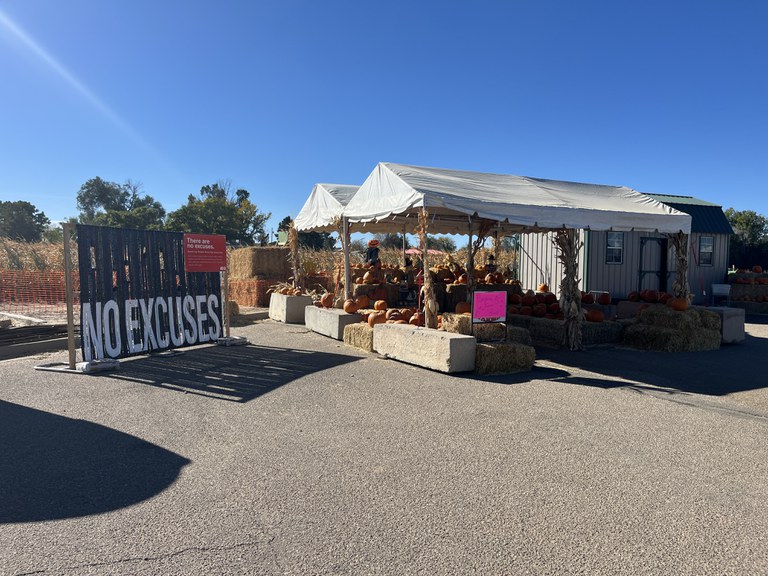 “No Excuses” display near a corn maze and pumpkin patch with blue skies. The display consists of seat belts arranged vertically with colorful messages written on them and the phrase “No Excuses” in large text across the bottom.