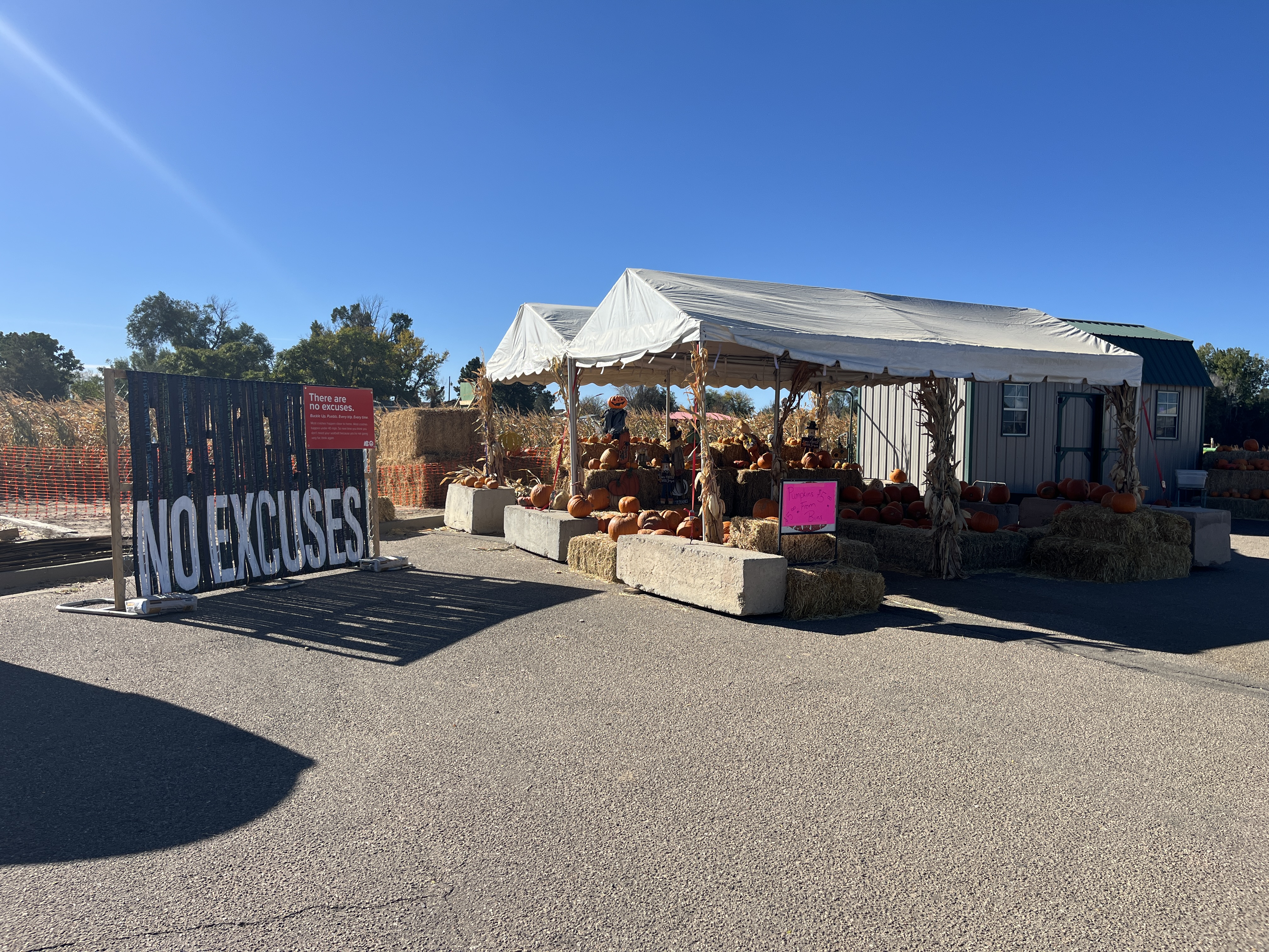 Pueblo County seat belts display detail image