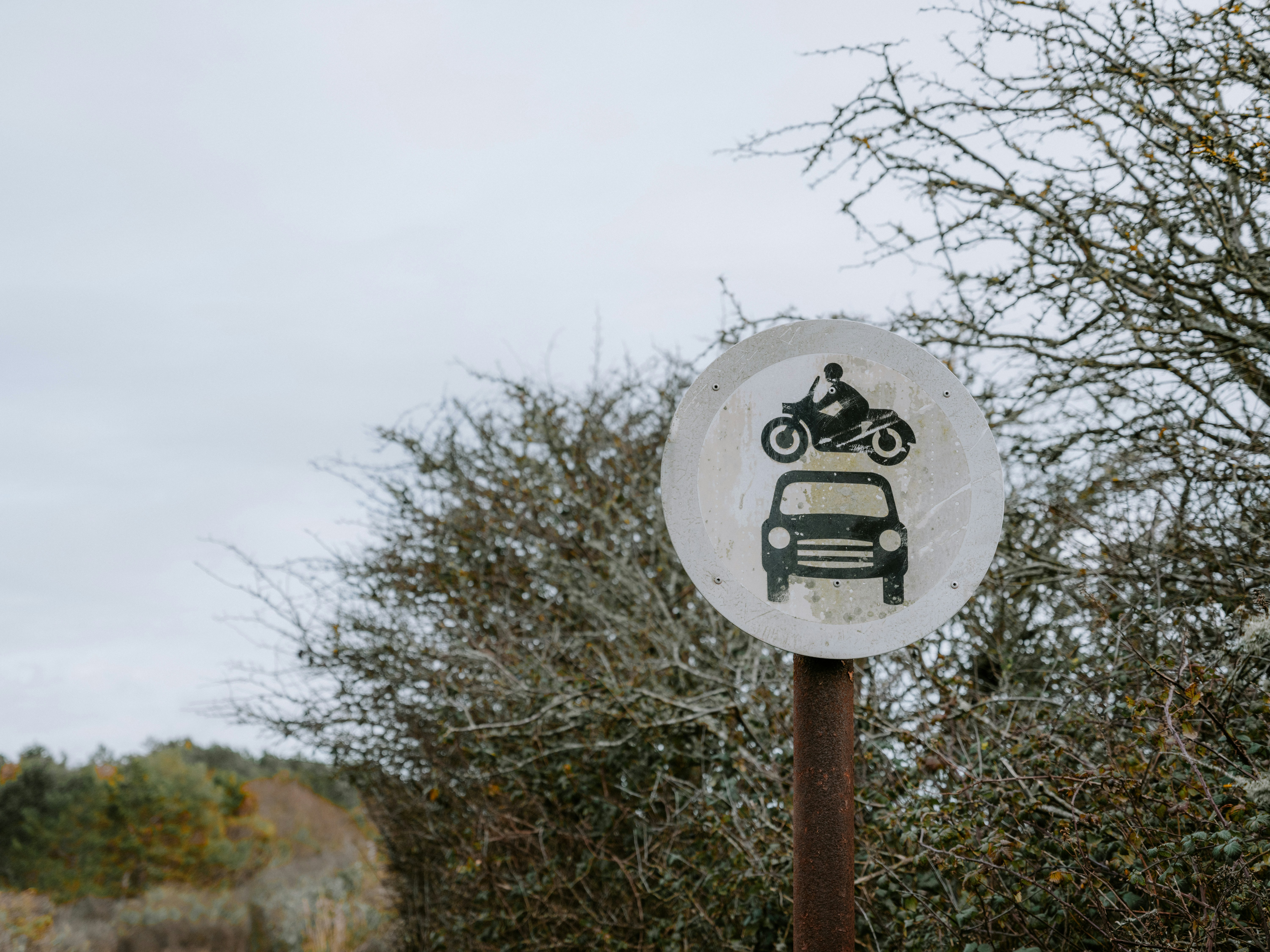 Ending Vulnerable Road User Deaths By 2035 detail image