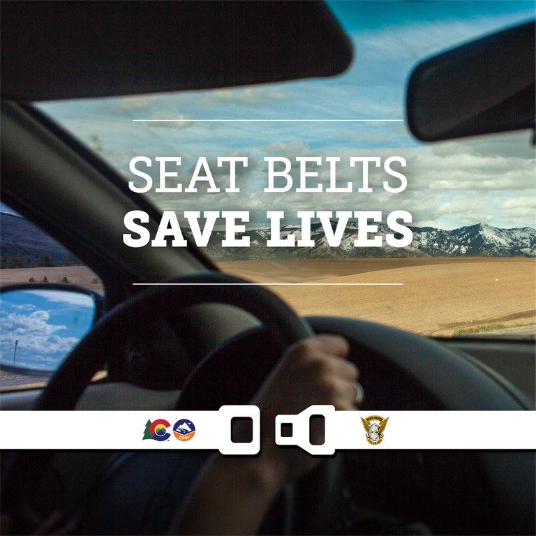 Seat Belts Save Lives 