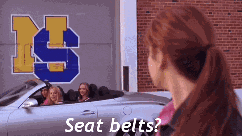 Seat belts are so fetch