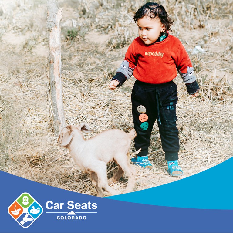 Child on a farm with a small goat. Car Seats Colorado logo and color overlay frames the photo.