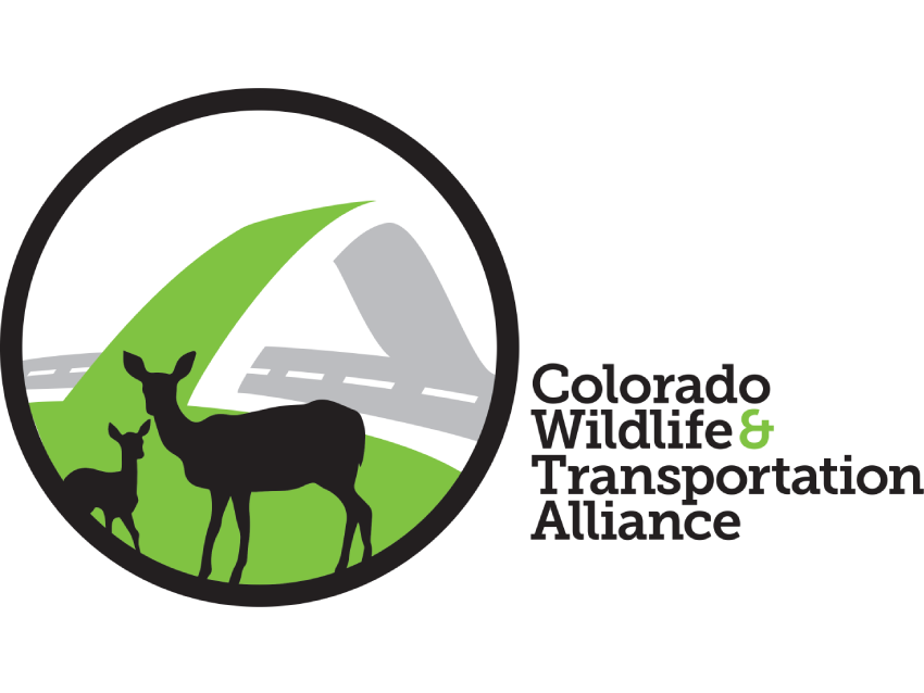 CWTA-LOGO.png detail image