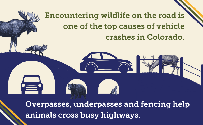 Webpage-Infographic-Wildlife-Mitigation-Systems.png detail image