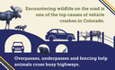 Webpage-Infographic-Wildlife-Mitigation-Systems.png thumbnail image