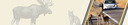 Wildlife-Campaign-Header-Graphic-No Text.png thumbnail image