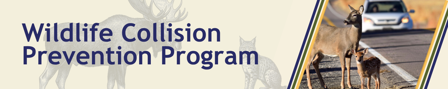 Wildlife-Campaign-Header-Graphic.png detail image