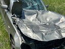 wildlife campaign Vehicle Damage Collision with Big Game on CO 128 near Rocky Flats Wildlife Refuge.JPG thumbnail image