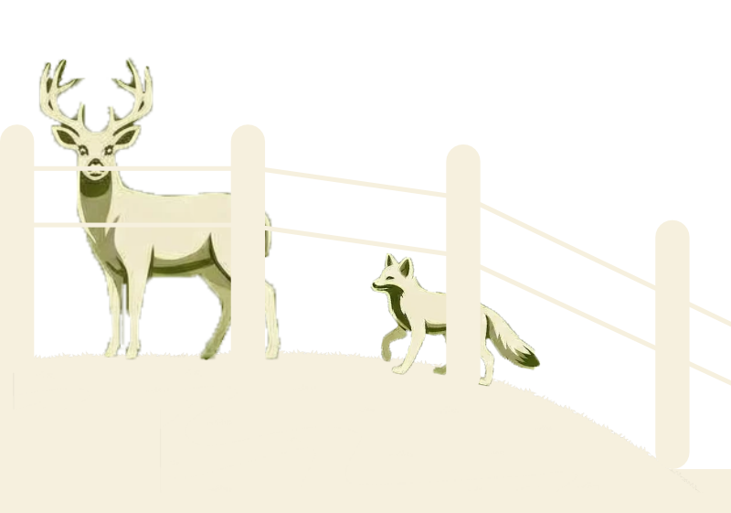 Wildlife Fencing Illustration.png detail image