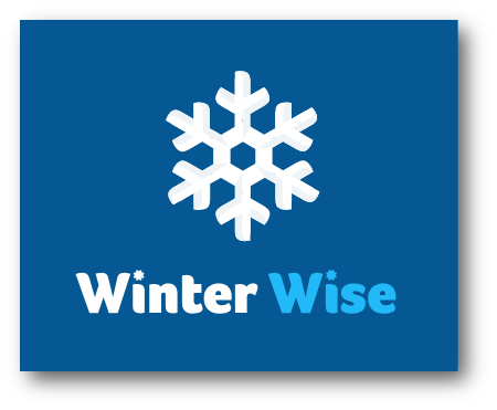 winter wise logo blue.png detail image