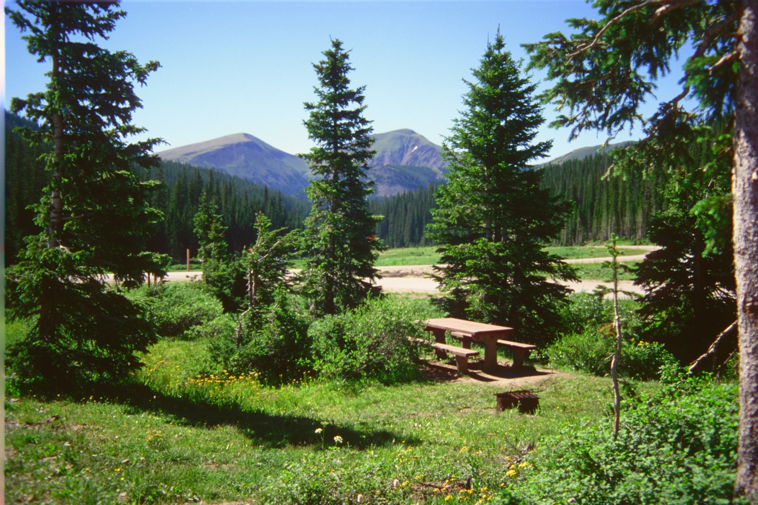 Cameron Pass detail image