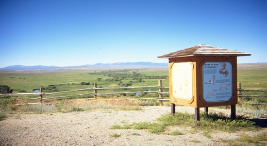 Cache La Poudre 2 detail image