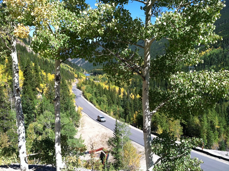 Aspen Gold on Guanella Pass Nov 2013 detail image