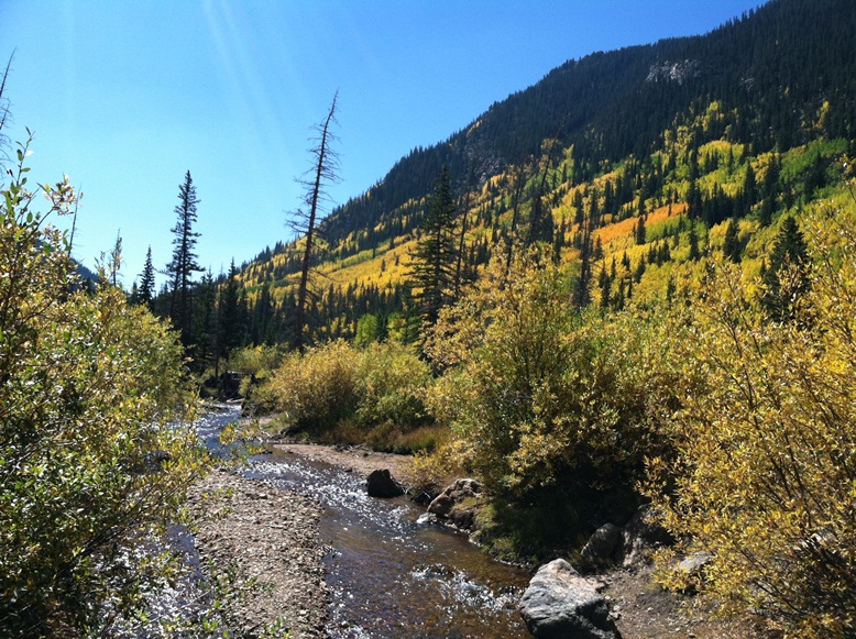 Leavenworth Creek Nov 2013 detail image