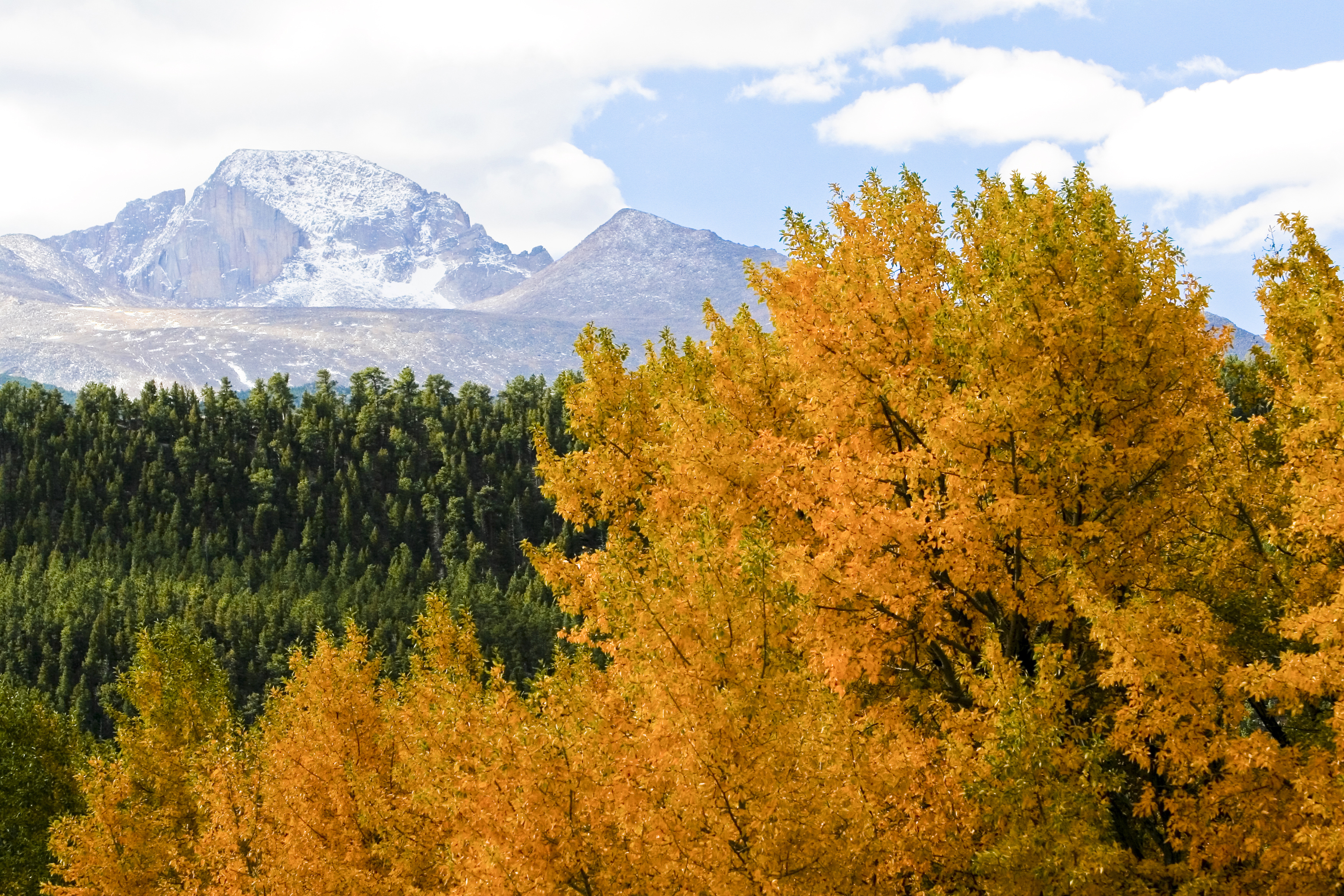 Rocky Mountain National Park detail image