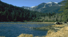 Trail Ridge Road 1 detail image