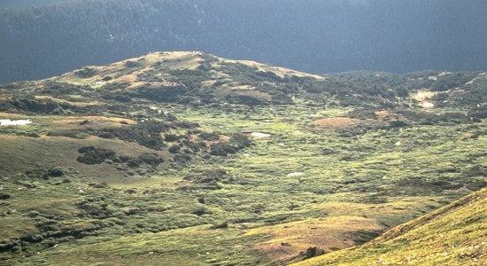 Trail Ridge Road 4 detail image