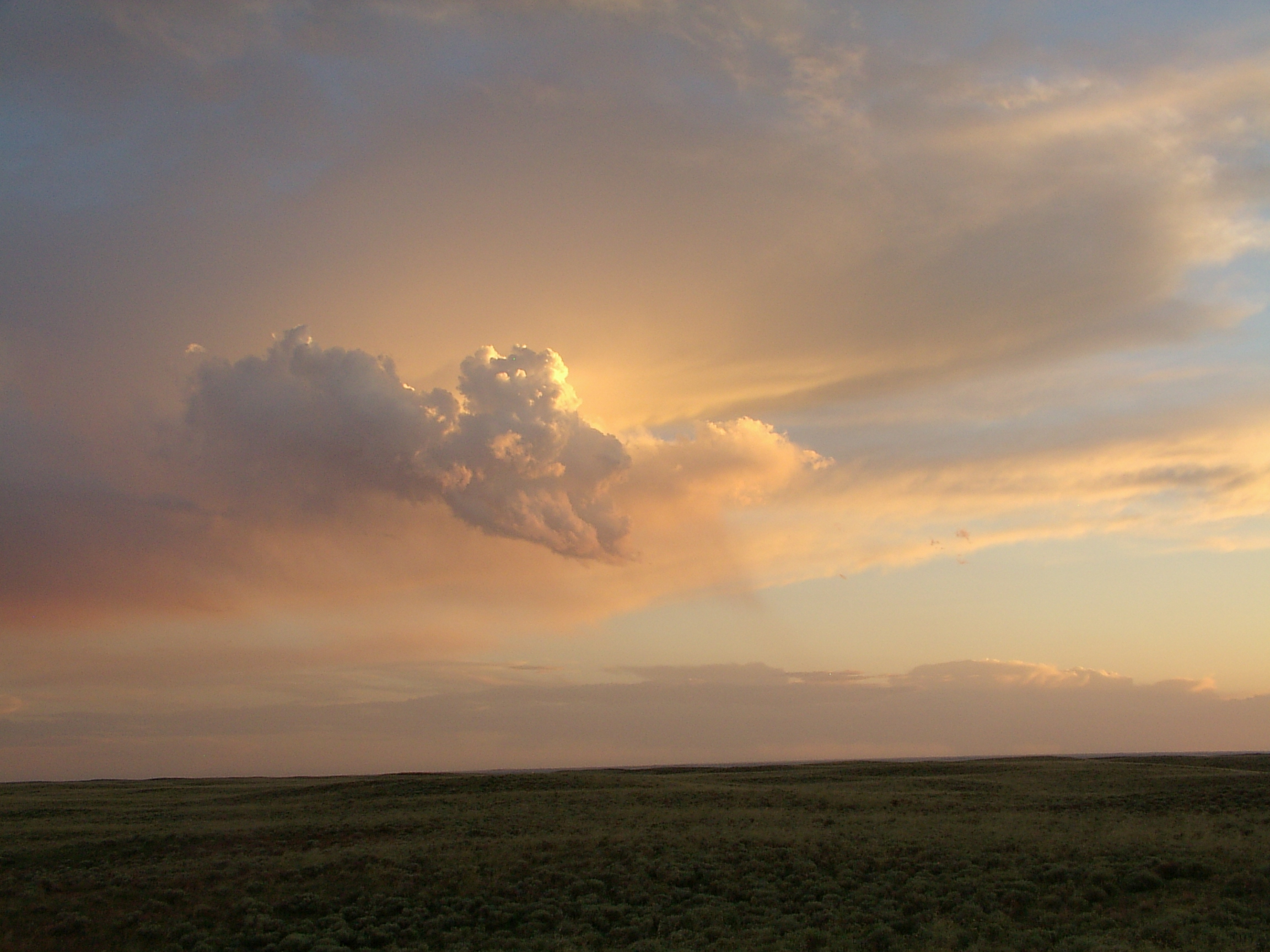 Plains Sunset detail image