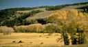 Colorado River Headwaters 1 thumbnail image