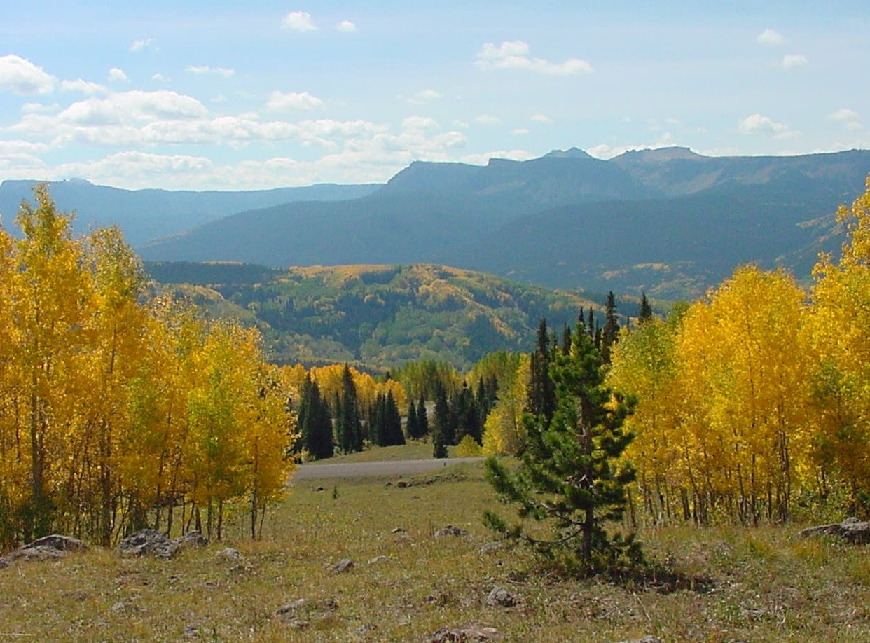 Fall Colors from Ripple Creek Pass detail image