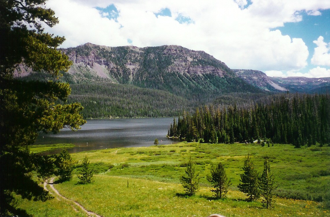 Trappers Lake detail image