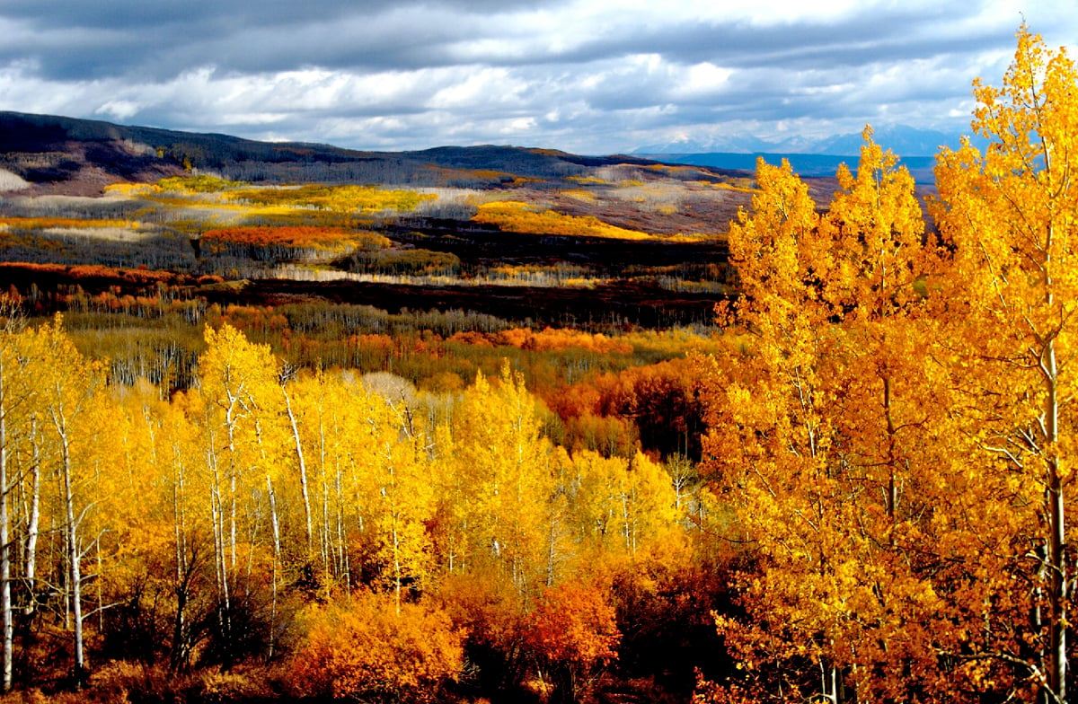 Grand Mesa Fall