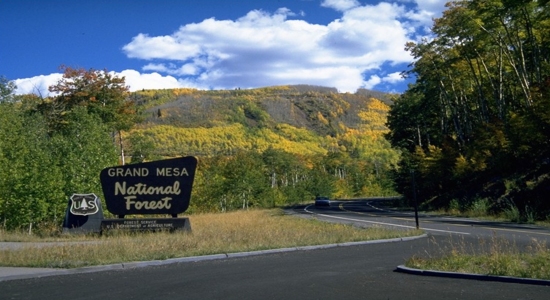 Grand Mesa 1 detail image