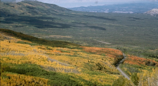 Grand Mesa 4 detail image