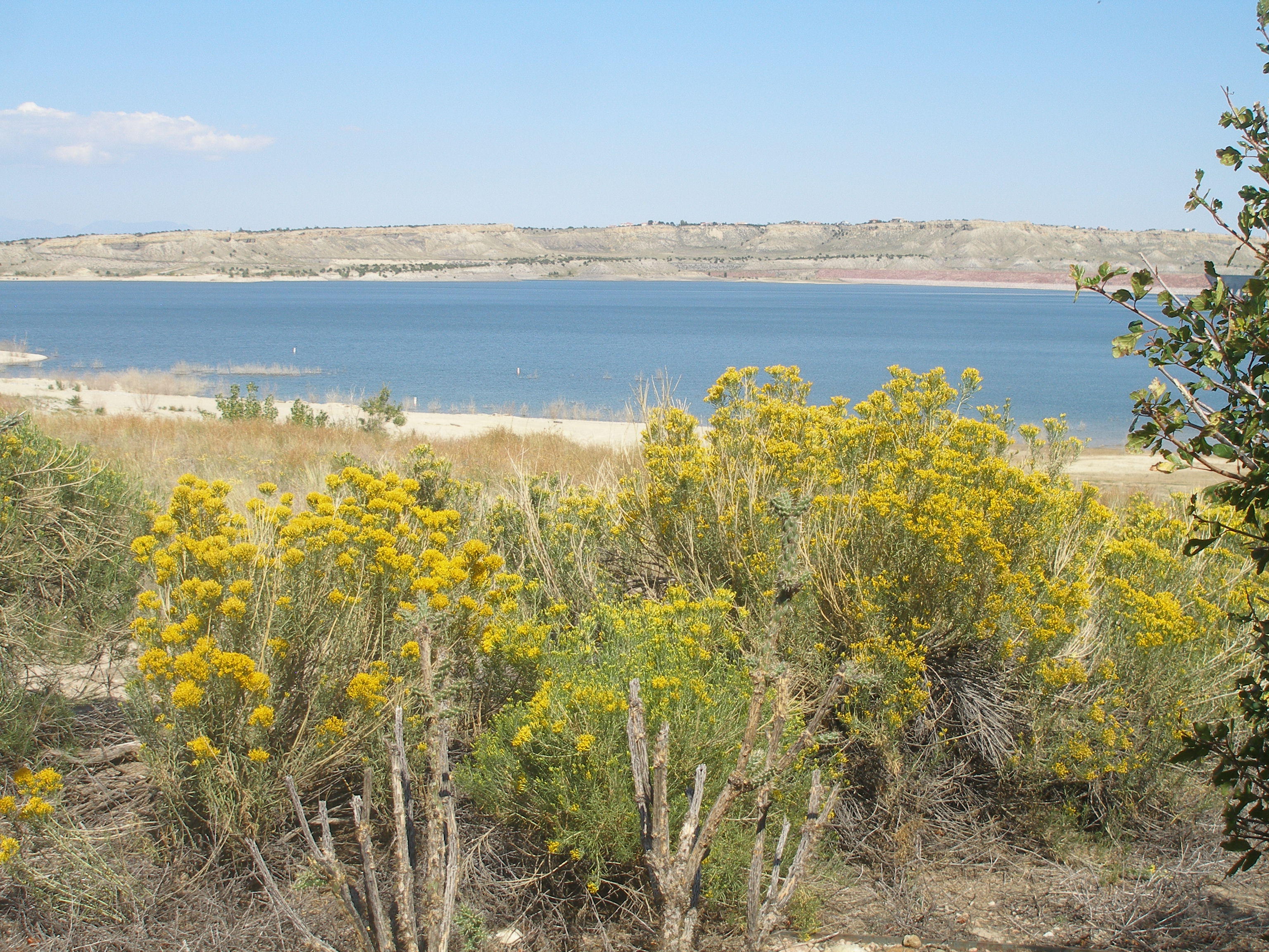 Pueblo Reservoir detail image