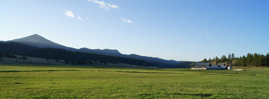 Gaffney Ranch detail image