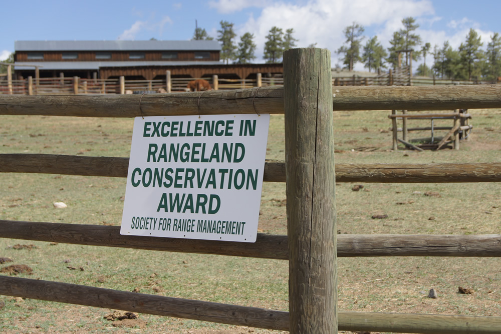 Historic Stone Ranch & Collins Property detail image