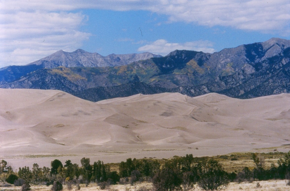 Sand Dunes In Fall detail image