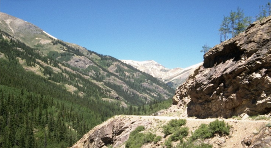 Alpine Loop 4 detail image