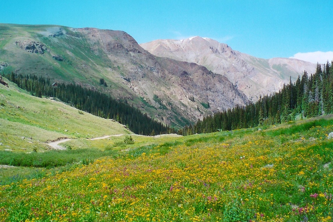 Cinnamon Pass Road detail image