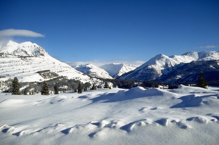 Molas Pass Winter detail image