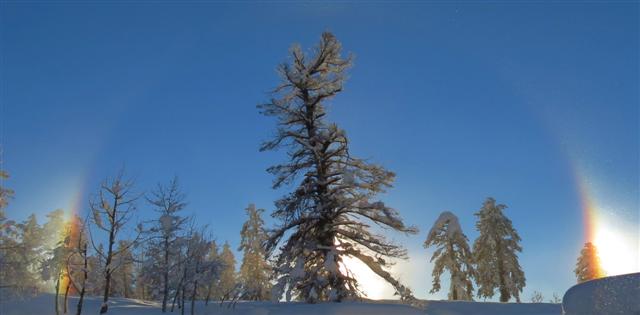 Morning Scene Captured off US 550 north of Durango - Photo 2 detail image