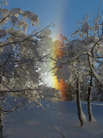 Morning scene captured off US 550 north of Durango detail image