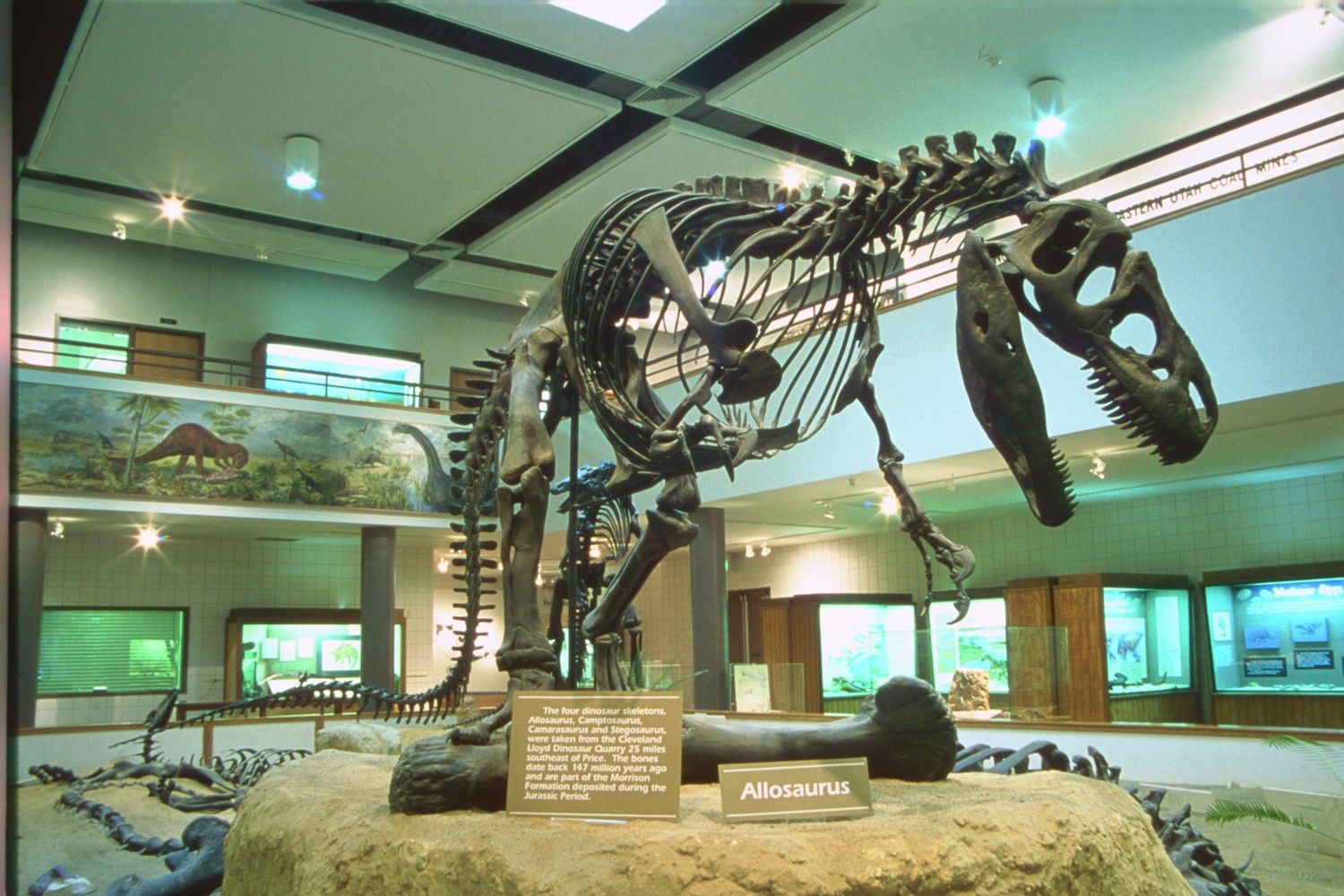 Museum Display — Colorado Department of Transportation