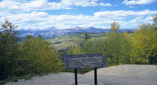 Silver Thread 2 detail image