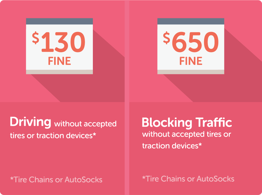 Winter Wise - Fines Graphic detail image