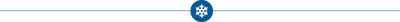 Snowflake Icon Graphic