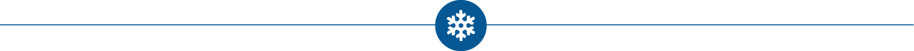 Snowflake Icon Graphic detail image
