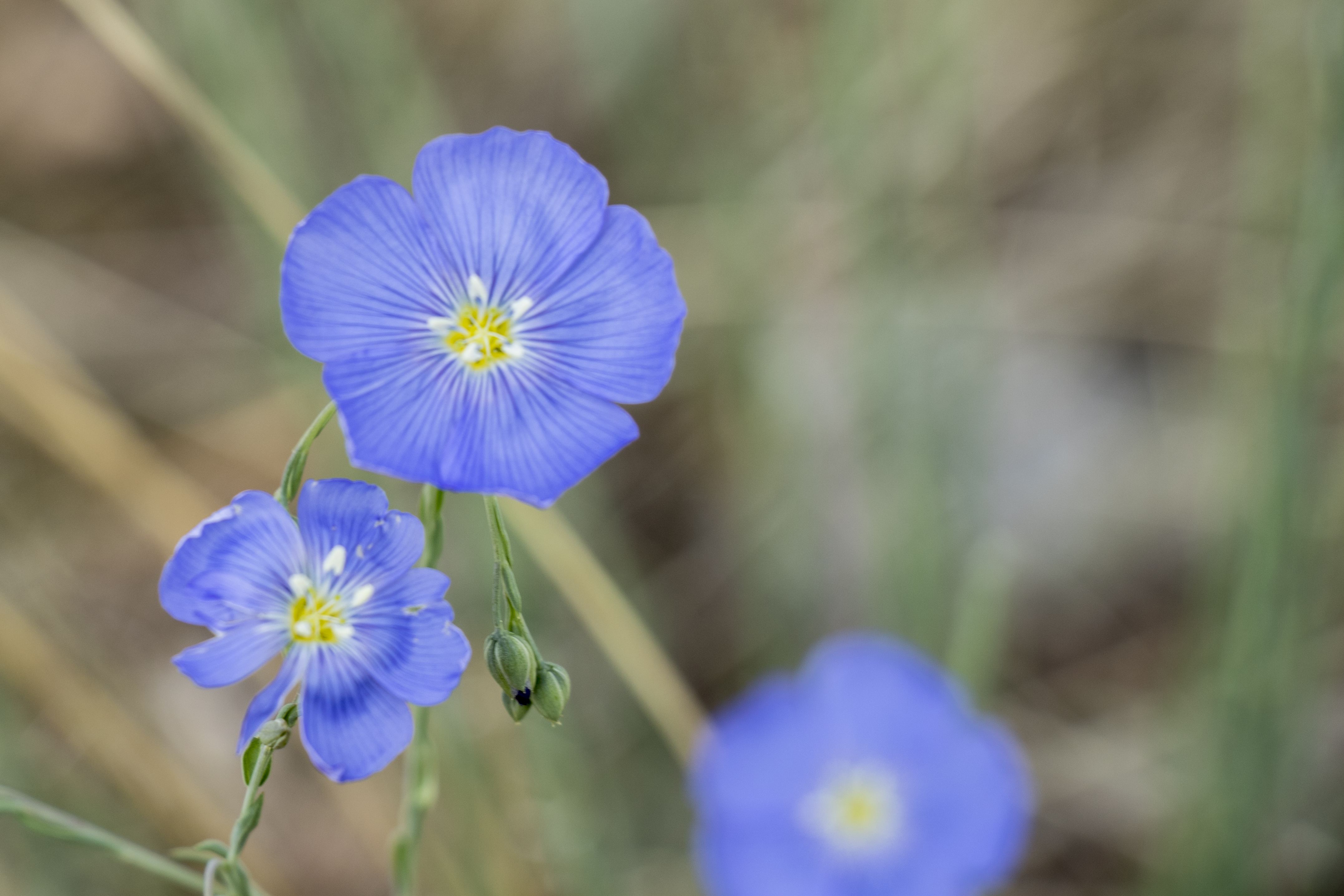 SharedResourcesBannerImage.jpg detail image